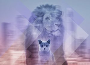 Теперь я босс. Советы для начинающего руководителя