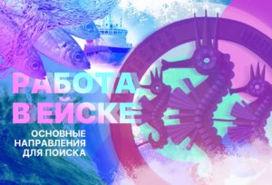 Работа в Ейске. Основные направления для поиска